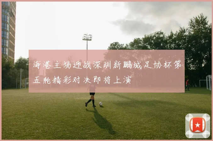 海港主场迎战深圳新鹏城足协杯第五轮精彩对决即将上演