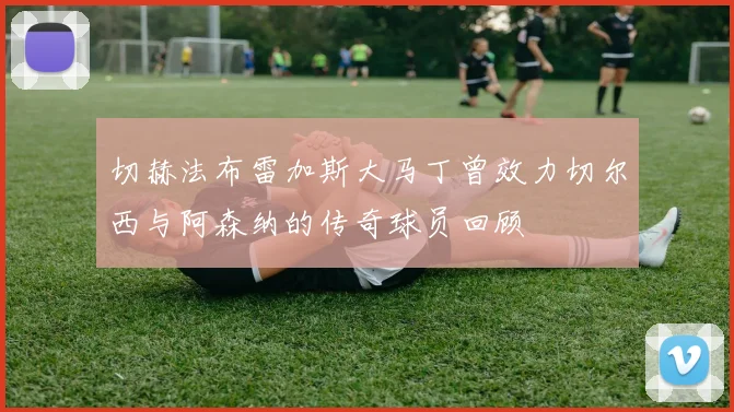 切赫法布雷加斯大马丁曾效力切尔西与阿森纳的传奇球员回顾